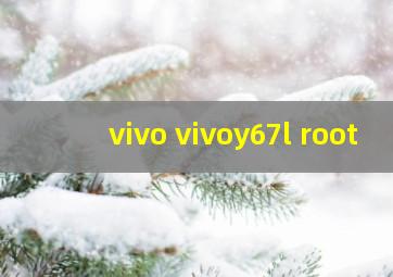 vivo vivoy67l root